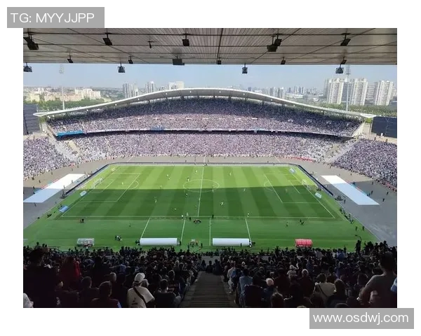 罗庄足球场曾培养和见证过的足球明星及其辉煌足迹 罗庄足球场曾培养和见证过的足球明星及其辉煌足迹