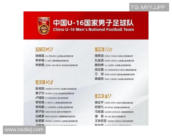 中国足球队三大球星最新排名揭晓 谁将成为国足未来核心领袖